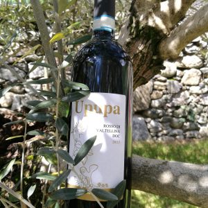 Vino Rosso Valtellina riserva